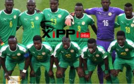Sénégal-Japon : Le Onze probable des Lions (Tfm)